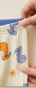 Premium Organic Cotton Kids Pajama Set - Cozy Little Dino Edition