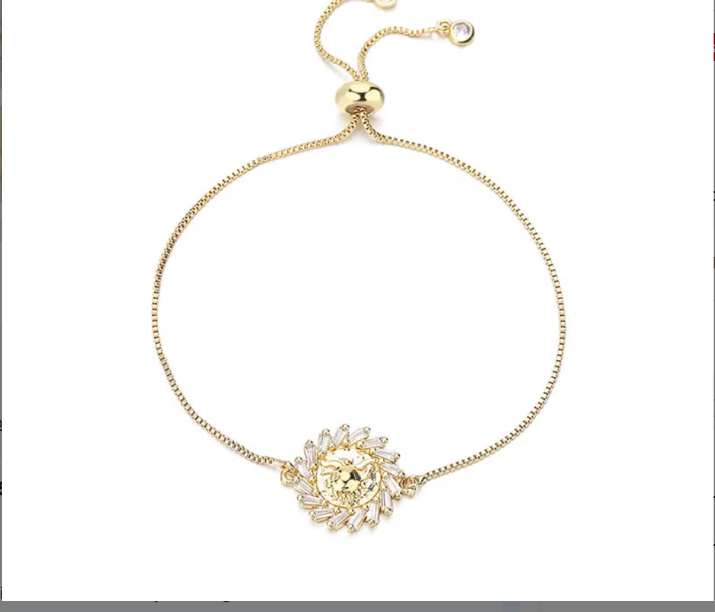 18K Gold Plated Adjustable Push-Pull Chain Bracelet with Sparkling Cubic Zirconia Charm
